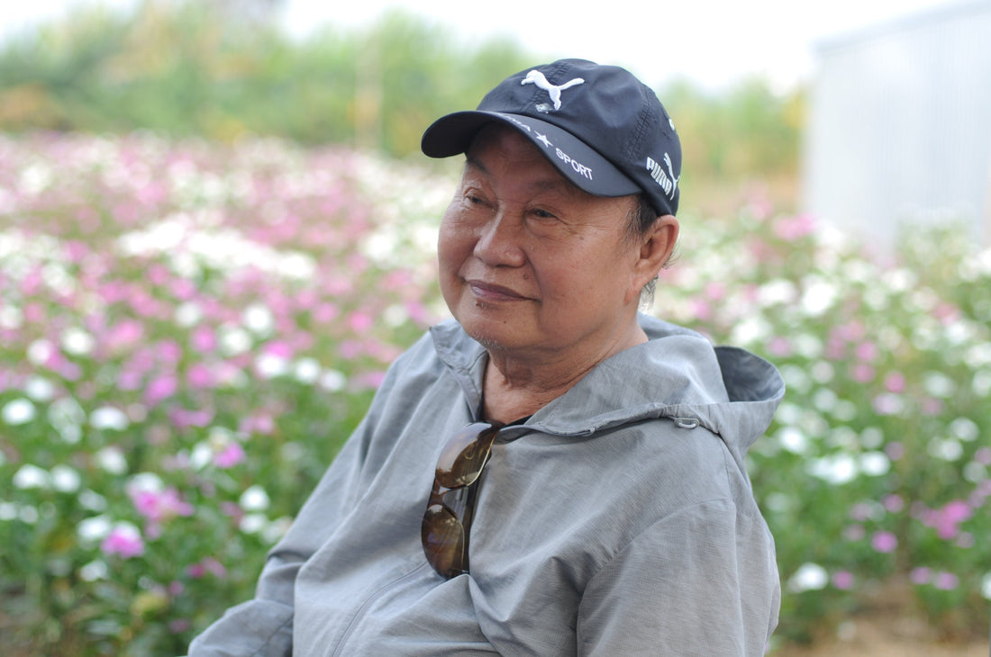 Trương Lộ